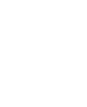 NZ map icon